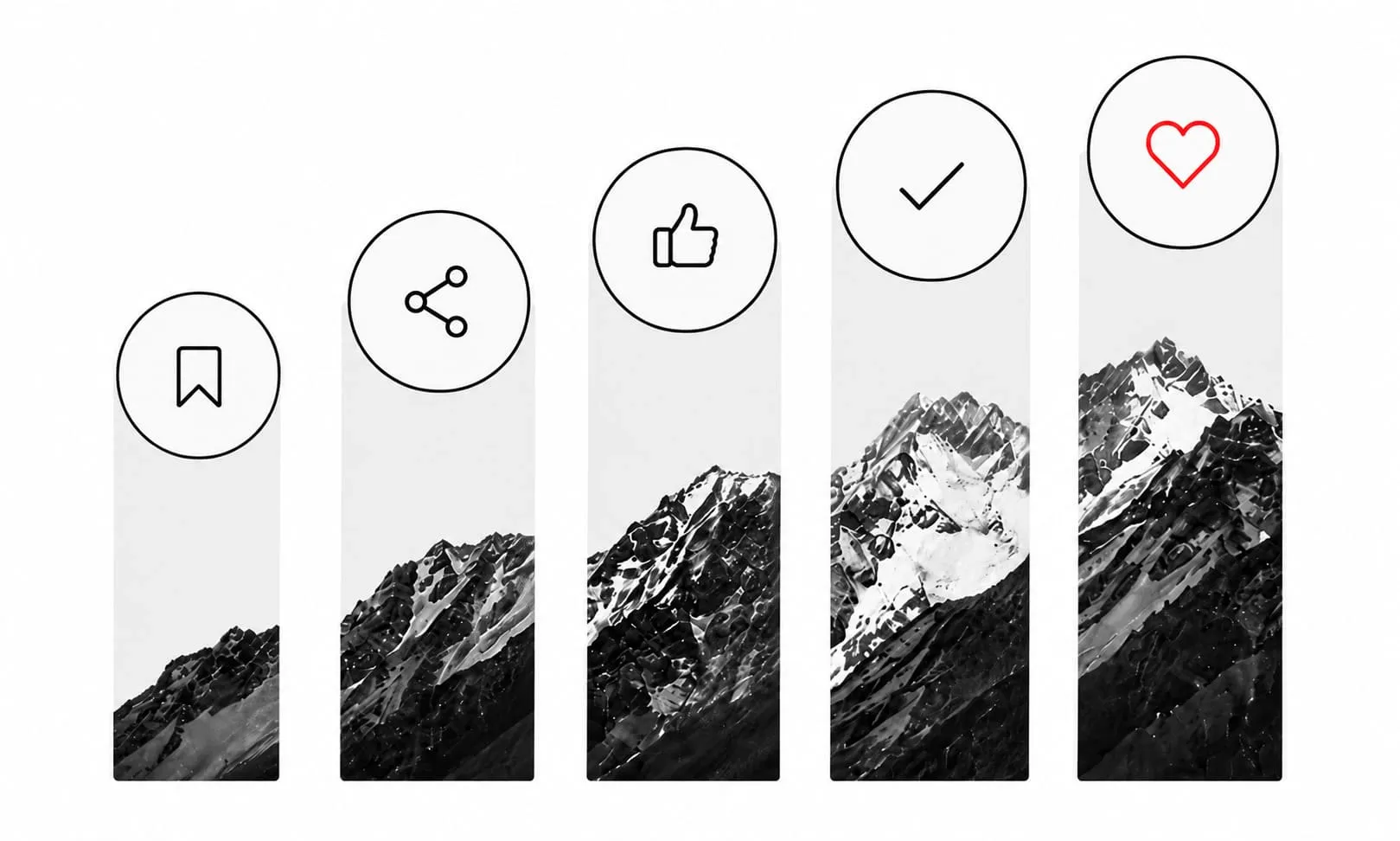 Growth Strategy